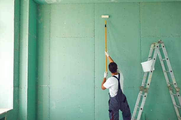 Best Mold Prevention Services  in Roland, IA