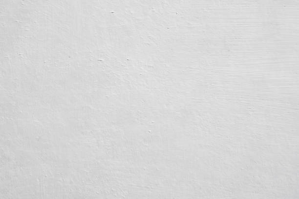 Best Mold Remediation for Healthcare Facilities  in Roland, IA
