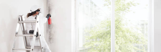Best Environmental Consulting for Mold Prevention  in Roland, IA